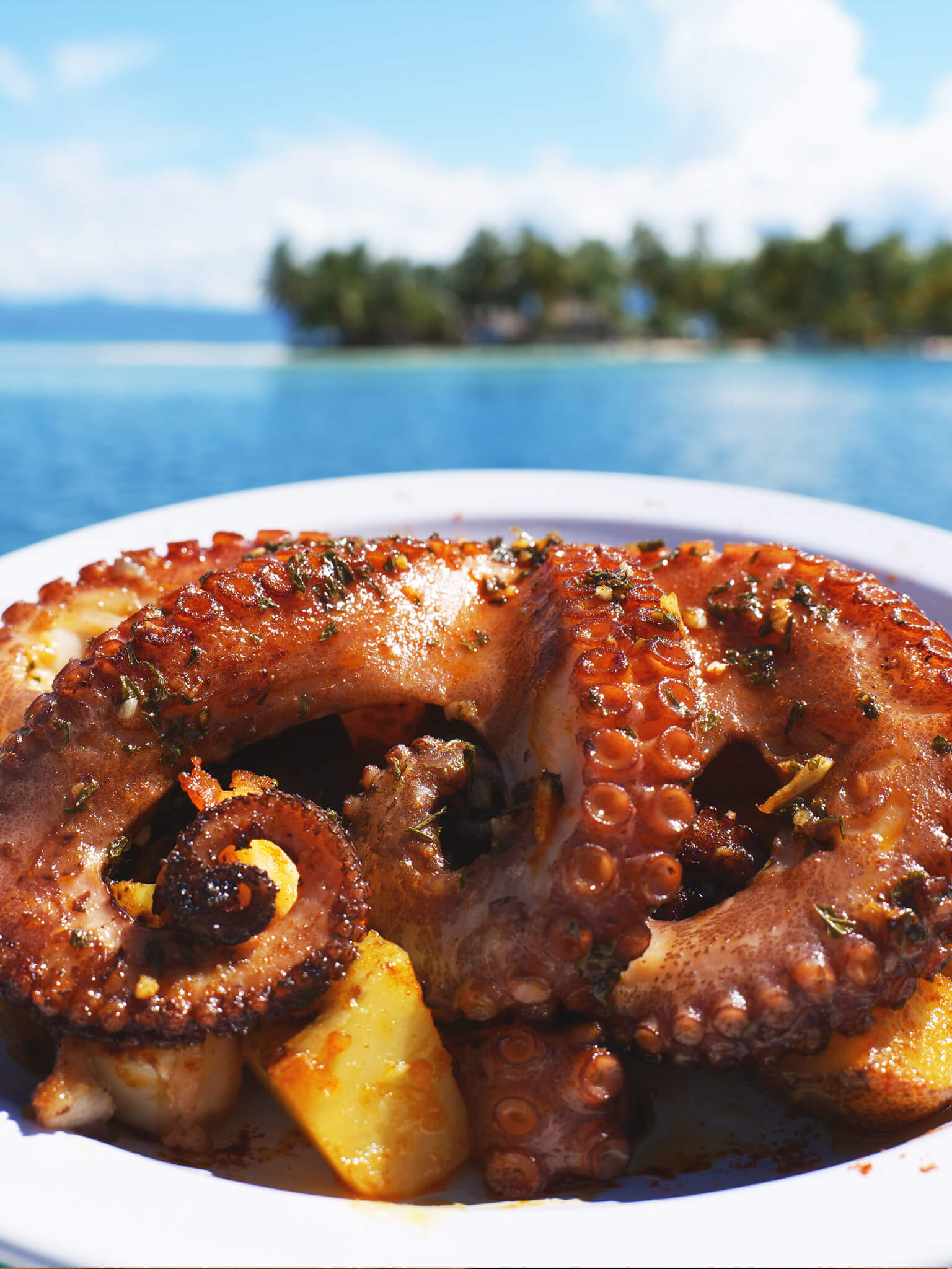 Meals on the Catamaran Atila in San Blas Archipelago, Panama.